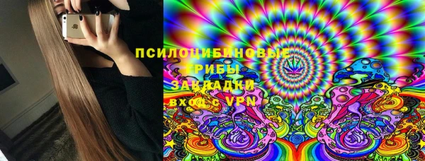 амф Аркадак