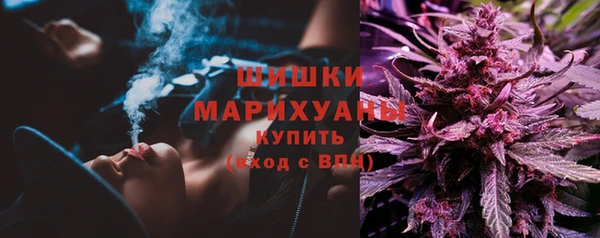 амф Аркадак