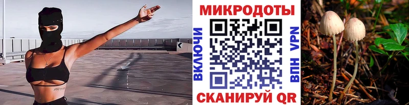 Галлюциногенные грибы MAGIC MUSHROOMS  цены   Талица 